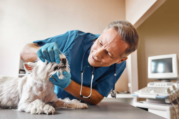  Jackson, KY Emergency Dentist Pros